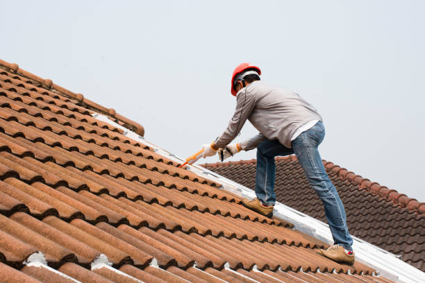 Emergency Roof Repair in Toledo, OR